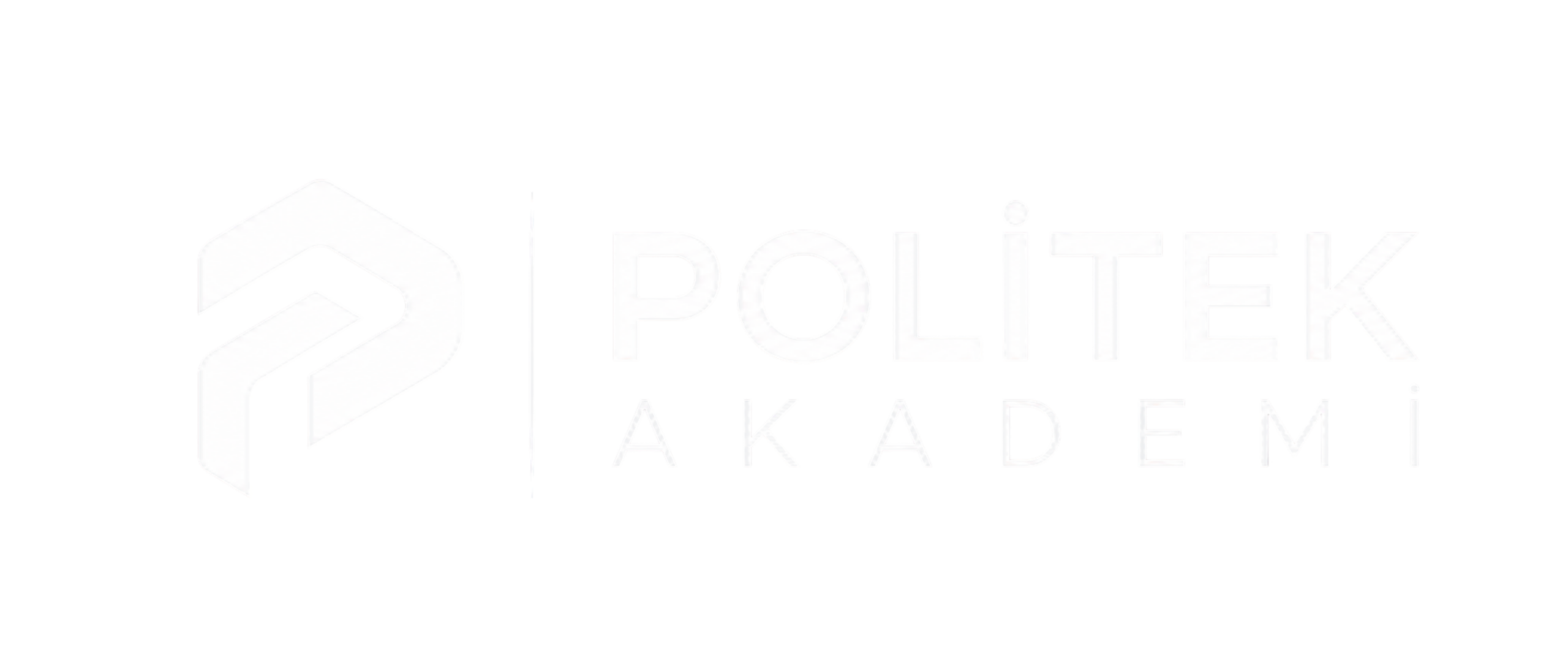 POLITEK AKADEMİ